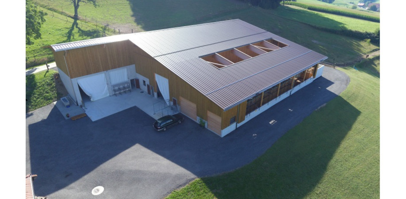 Laufstall Eichbühlstrasse Grossdietwil